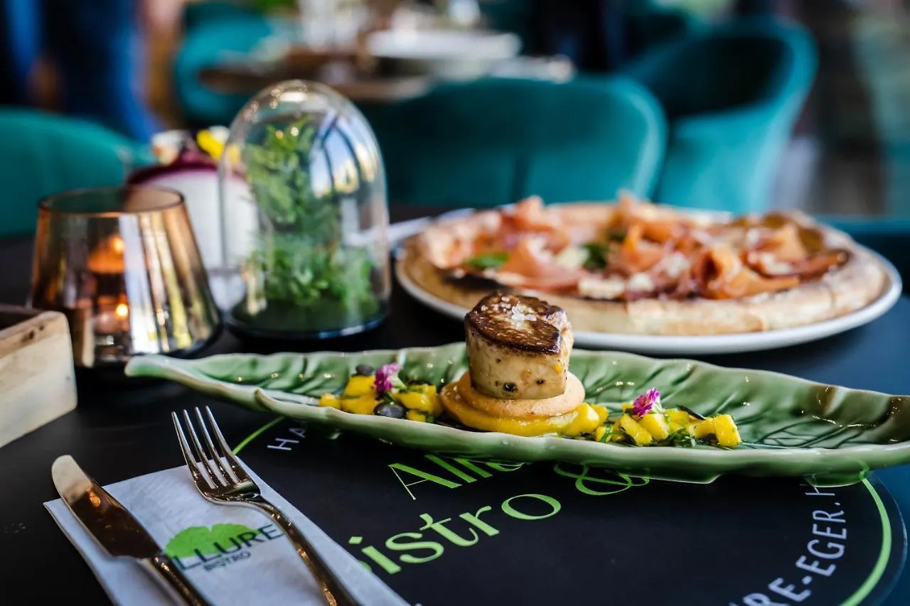 Allure Healthy Hotel & Spa Eger 4*,